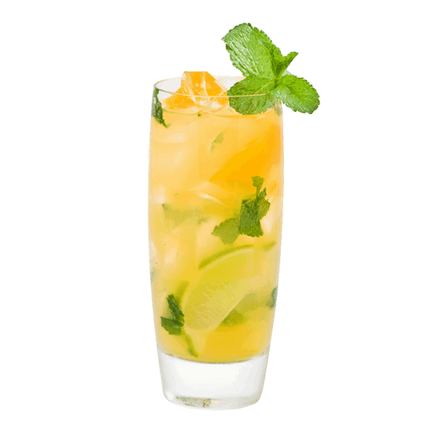 Exotic Citrus Agua Fresca