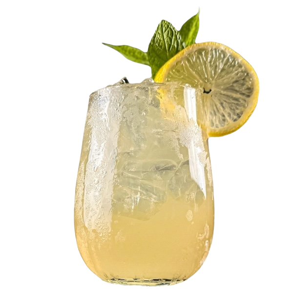 Verres MIXOpro, Boîte de 6pcs x460ml/15,55oz