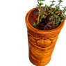 Figue spéciale de Don