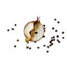 Cappuccino à l'abricot