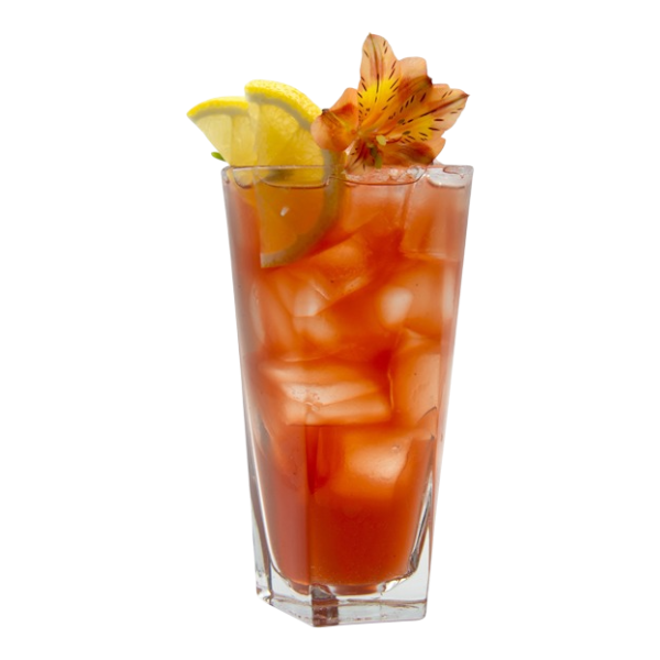 Lot de thé Digestivo