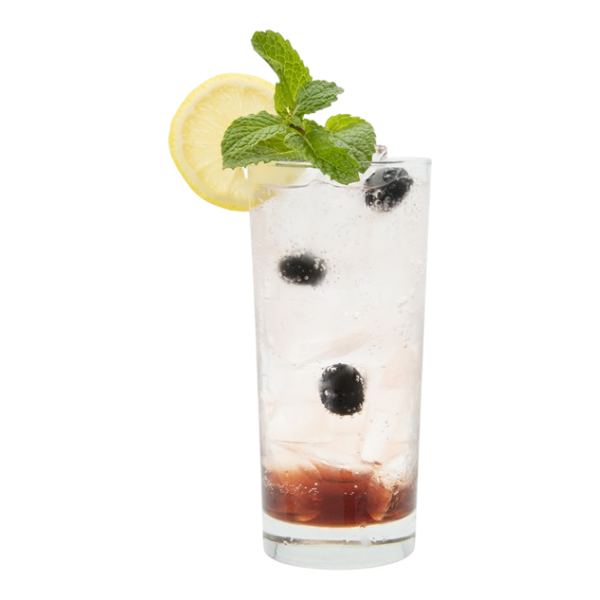 Spring Blueberry Almond Spritzer