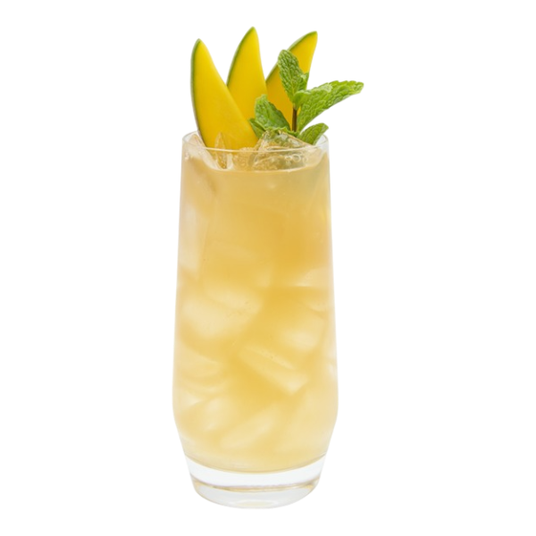 Honey Mango Spiced Kombucha