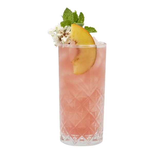 Hibiscus Blossom