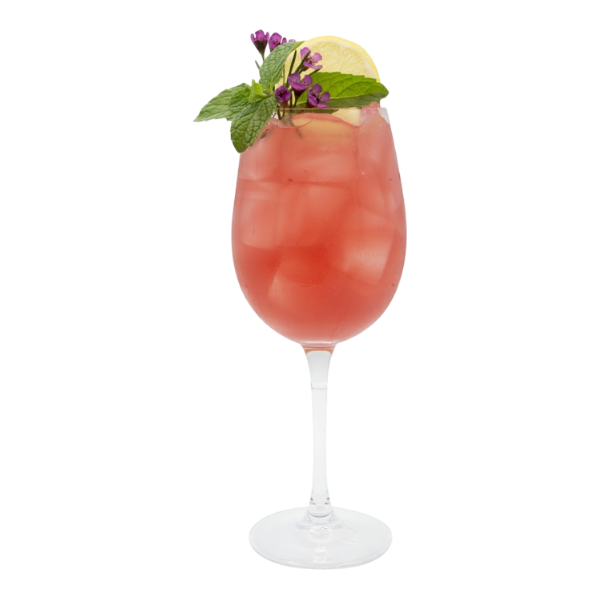 Hibiscus Kombucha Spritz