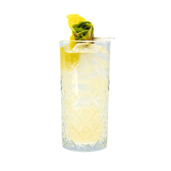 Joplin Lemonade