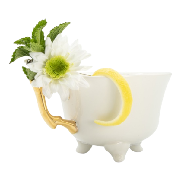 Thé de printemps à l'hibiscus