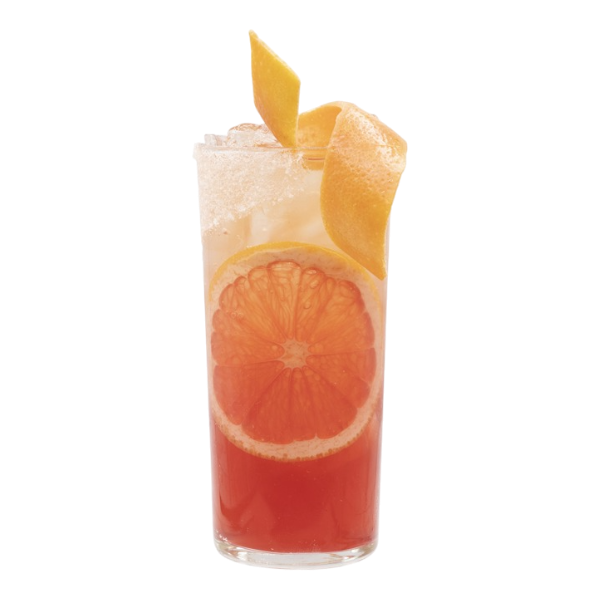 Chien de sang du Kentucky