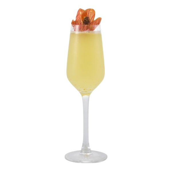 Champagne à la fleur de sureau