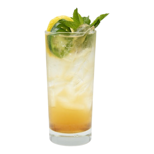 Iced Sparkling Hot Honey Bee Tea