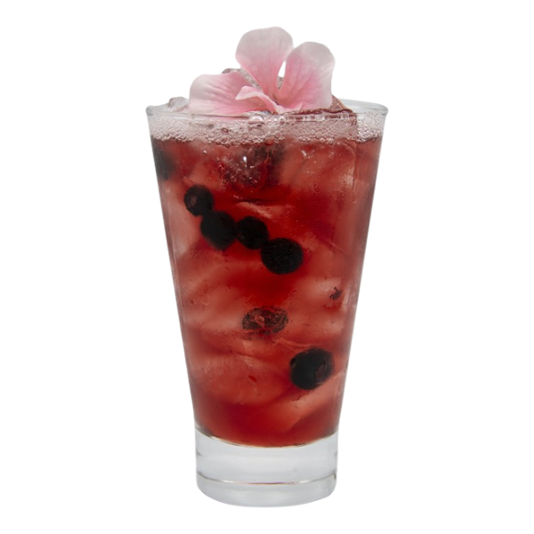 Spiced Blueberry Hibiscus Kombucha