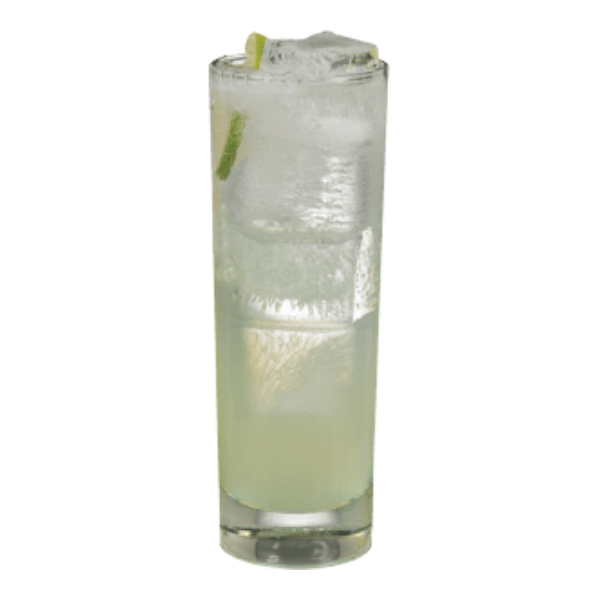 Elderflower Spritzer