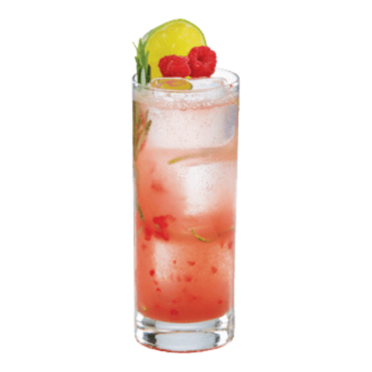Raspberry Gin and Tonic