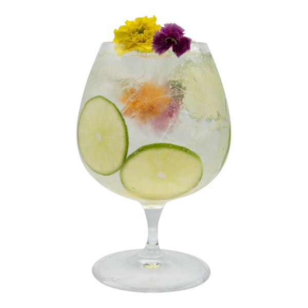 Spring Elderflower G&T