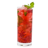 Raspberry Hibiscus Zero Proof Mojito