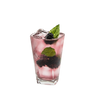 Blackberry Spa Water