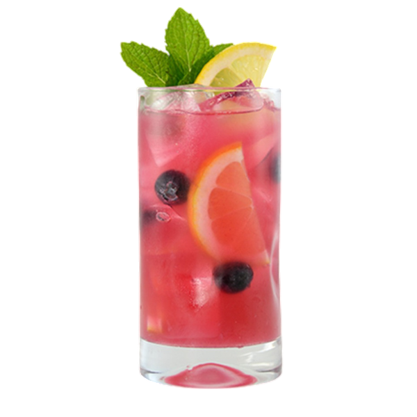 Blueberry Hibiscus Lemonade