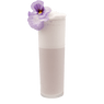 French Fizz