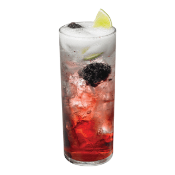 Blackberry Pisco Sour