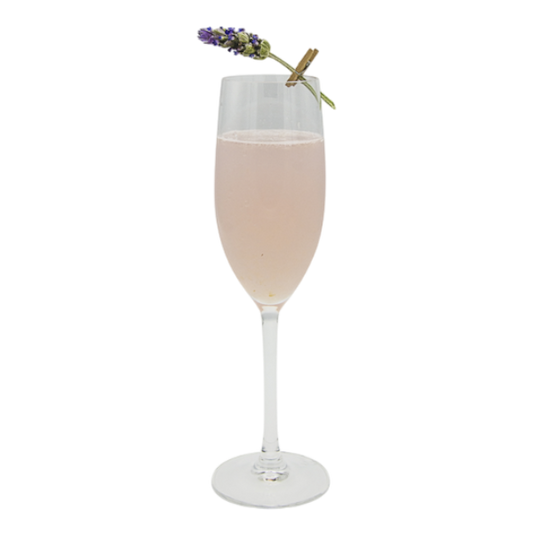 Lavender Mimosa