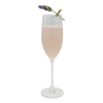 Lavender Mimosa