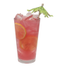 Hibiscus Cocoade