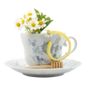 Afternoon Jasmine Tea