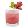 Hibiscus Guilt-free Sour