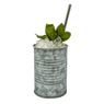 Mule au concombre
