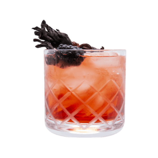 Hibiscus Spritz