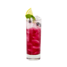 Blueberry Mojito