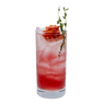 Jamaica Shrub