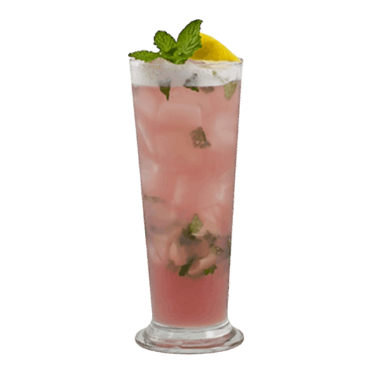 Pomegranate Mango Mojito