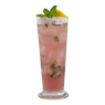 Pomegranate Mango Mojito