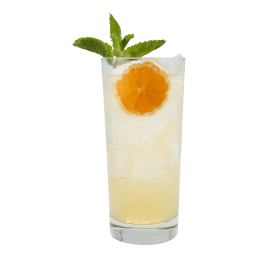 Orange Tangerine Refresher