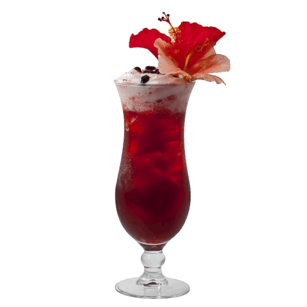 Hibiscus Cooler