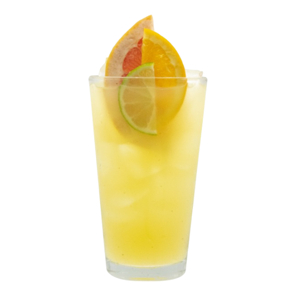 Tropical Fruit Juice Refresher