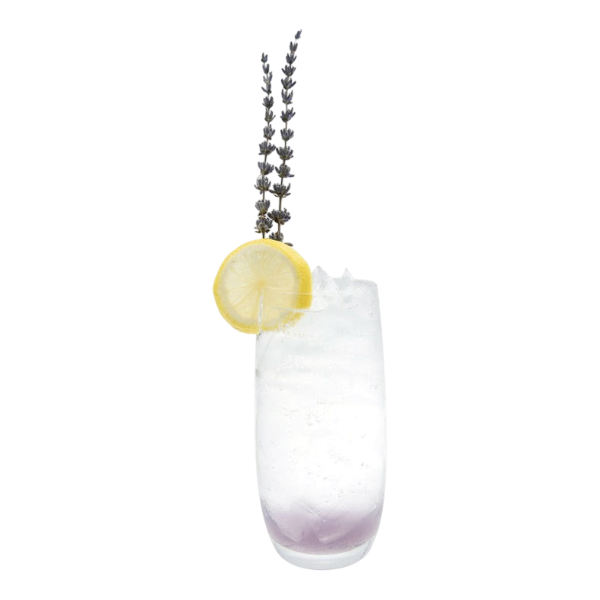 French Lavender Soda