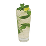 Citrus Mojito