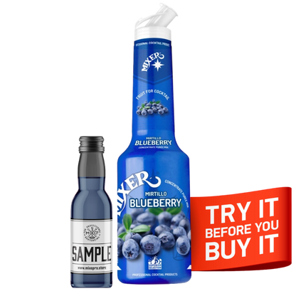 Blueberry Fruit Syrup Puree MIXER, 1L