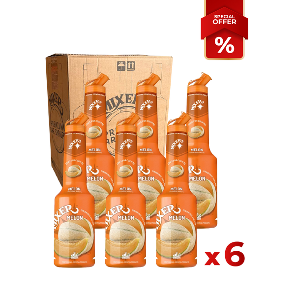 Melon Fruit Syrup Puree MIXER B2B