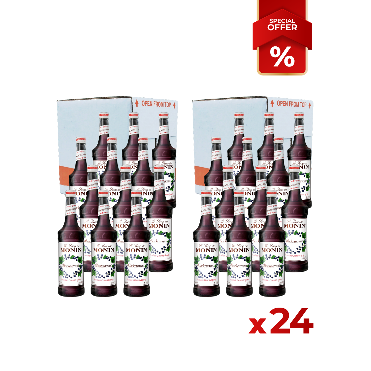 Blackcurrant Syrup MONIN, 0,75L Bundle