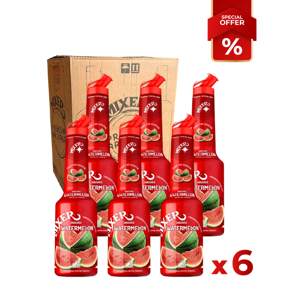 Watermelon Fruit Syrup Puree MIXER B2B
