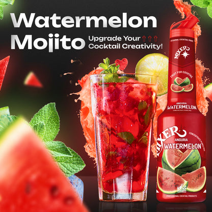 Watermelon Fruit Syrup-puree MIXER, 1L