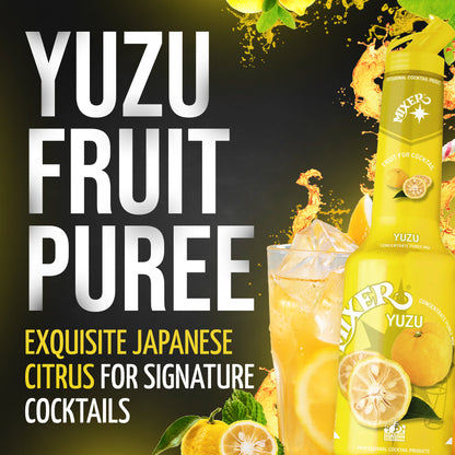 Yuzu Fruit Syrup-puree MIXER, 1L