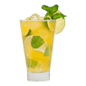 Tangerine Mojito
