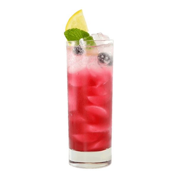 Blueberry Mint Collins