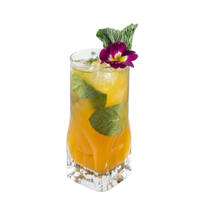 Apricot Mojito