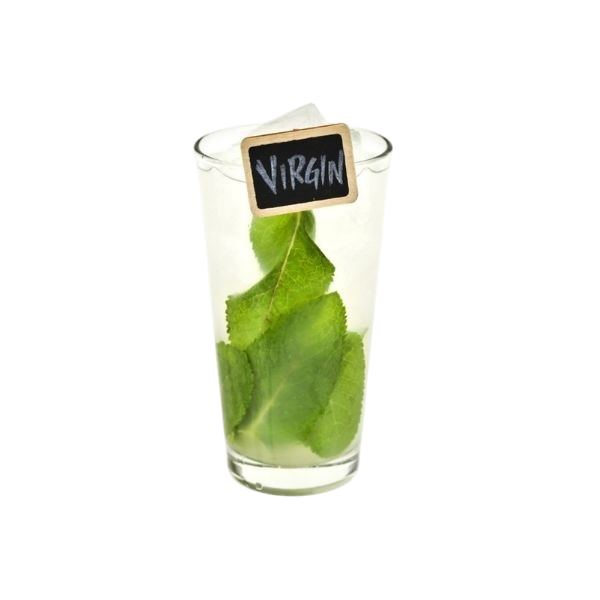 Virgin Mojito