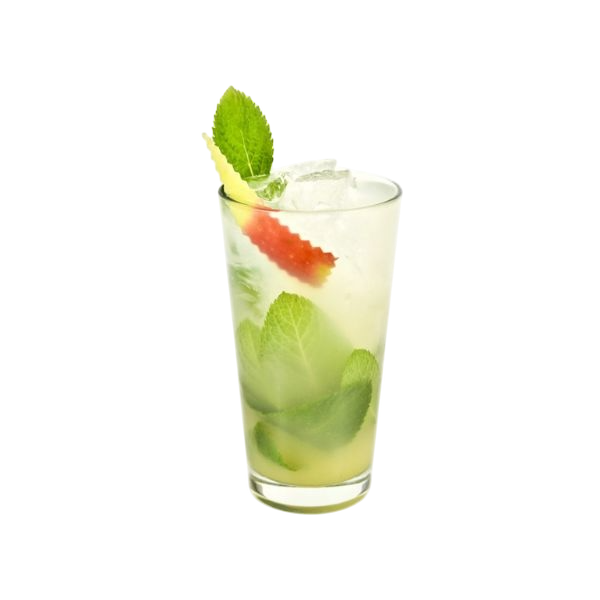 Apple Ginger Mojito